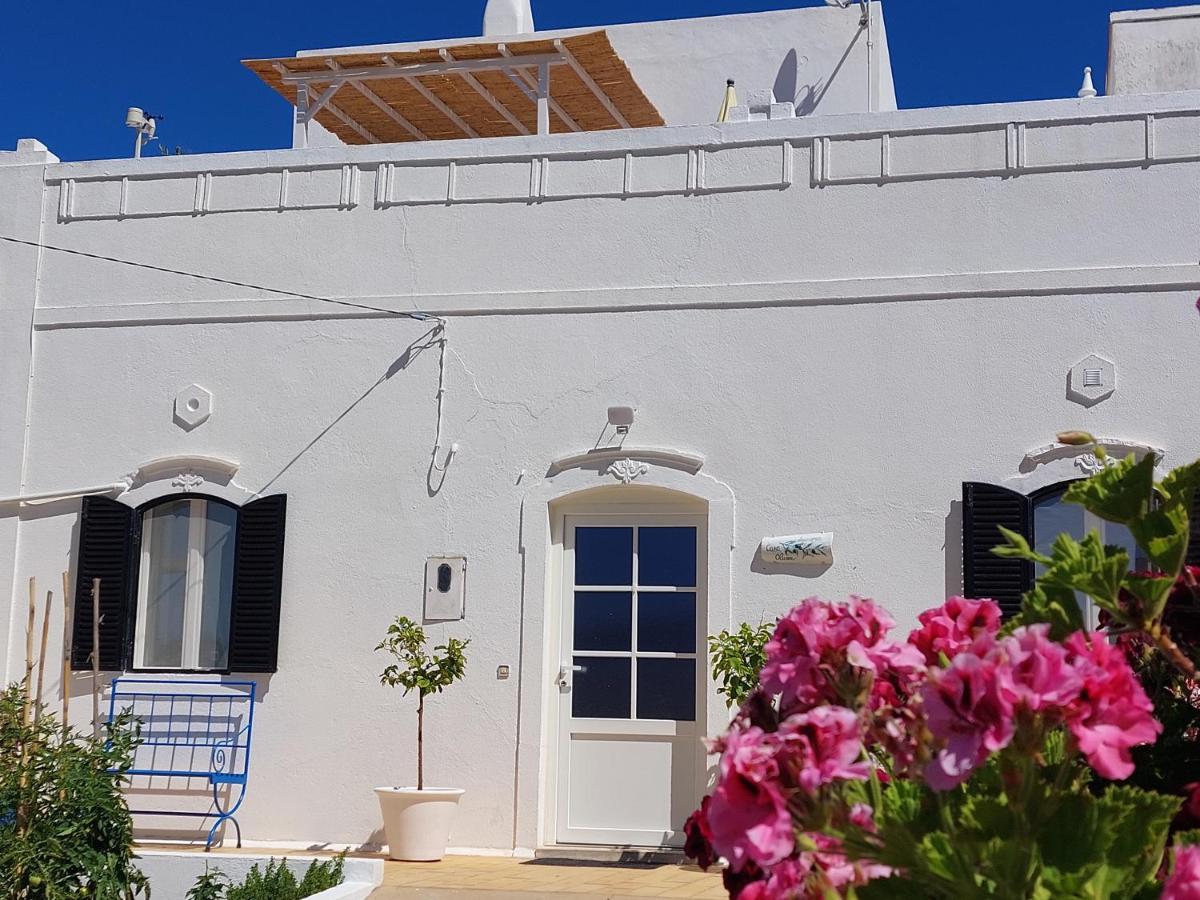 "Oliveiras" Appartement Typique Avec Terrasse Et Piscine Λουλέ Εξωτερικό φωτογραφία