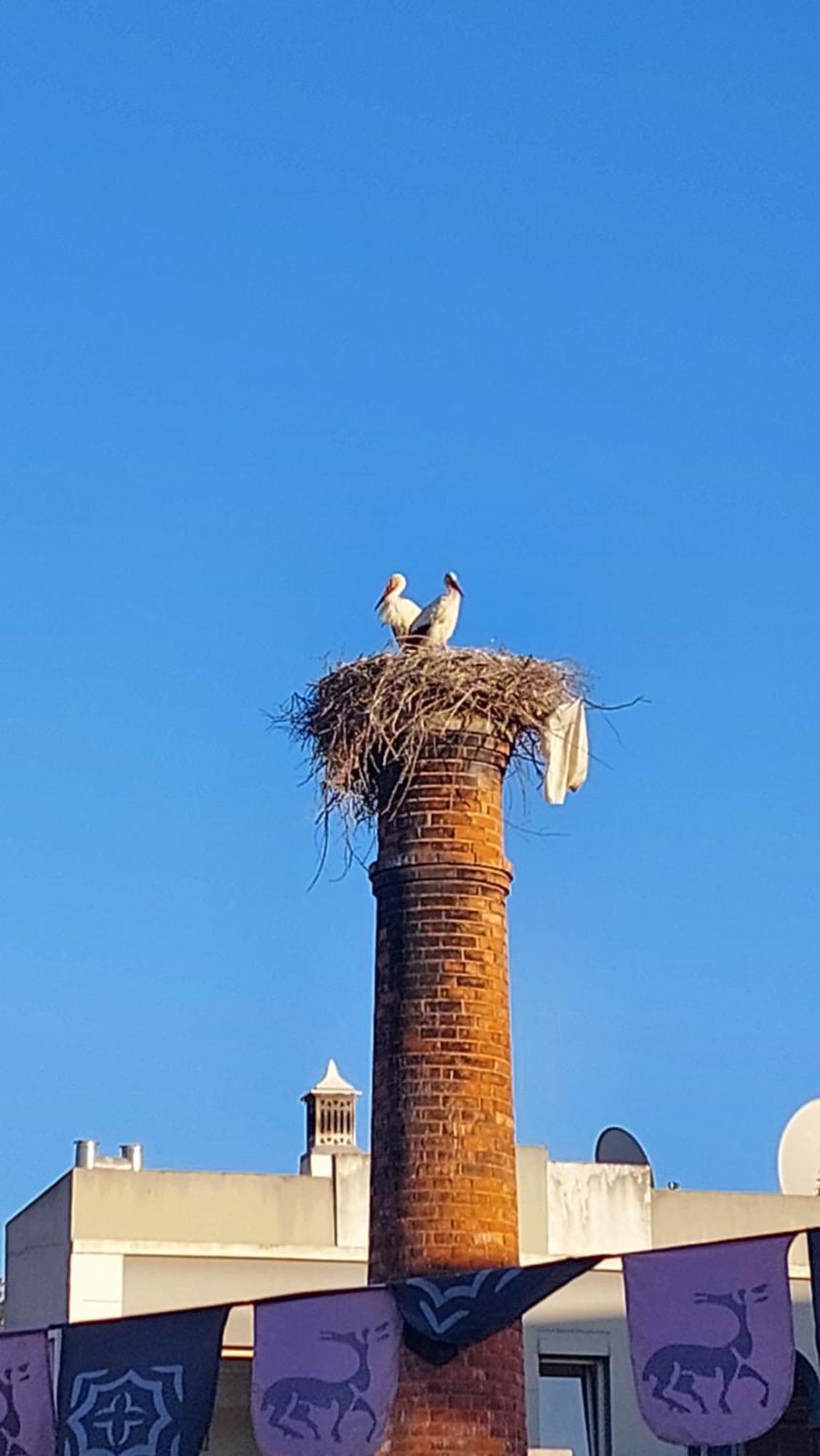 "Oliveiras" Appartement Typique Avec Terrasse Et Piscine Λουλέ Εξωτερικό φωτογραφία