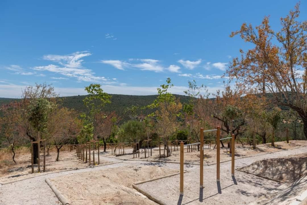 "Oliveiras" Appartement Typique Avec Terrasse Et Piscine Λουλέ Εξωτερικό φωτογραφία